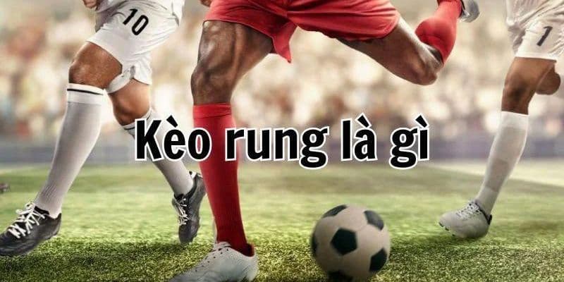 Kinh nghiệm đầu tư kèo rung hiệu quả cho bet thủ